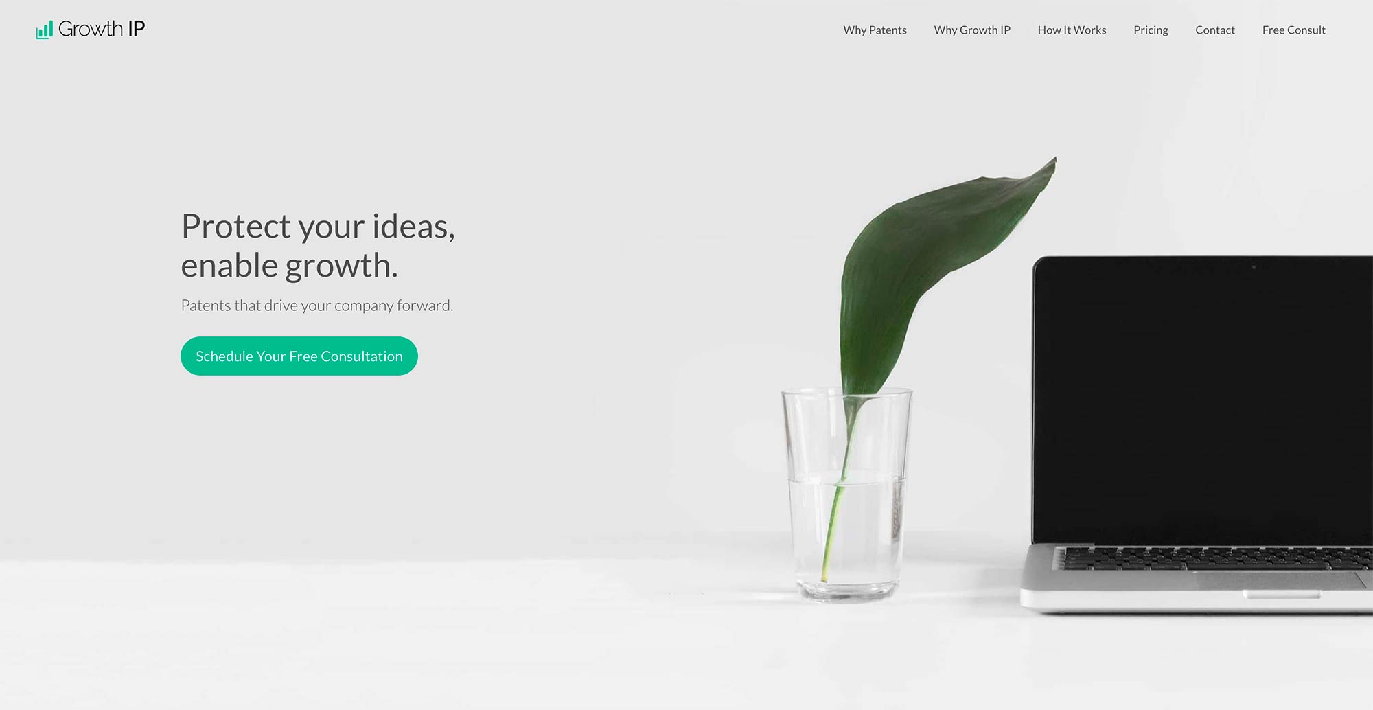 Growth IP