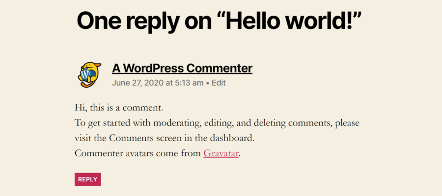 wordpress-blog-post-comment