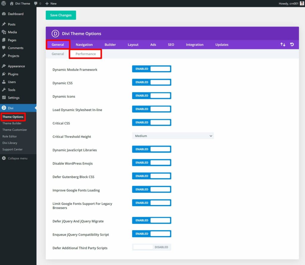 Divi's built-in performance settings