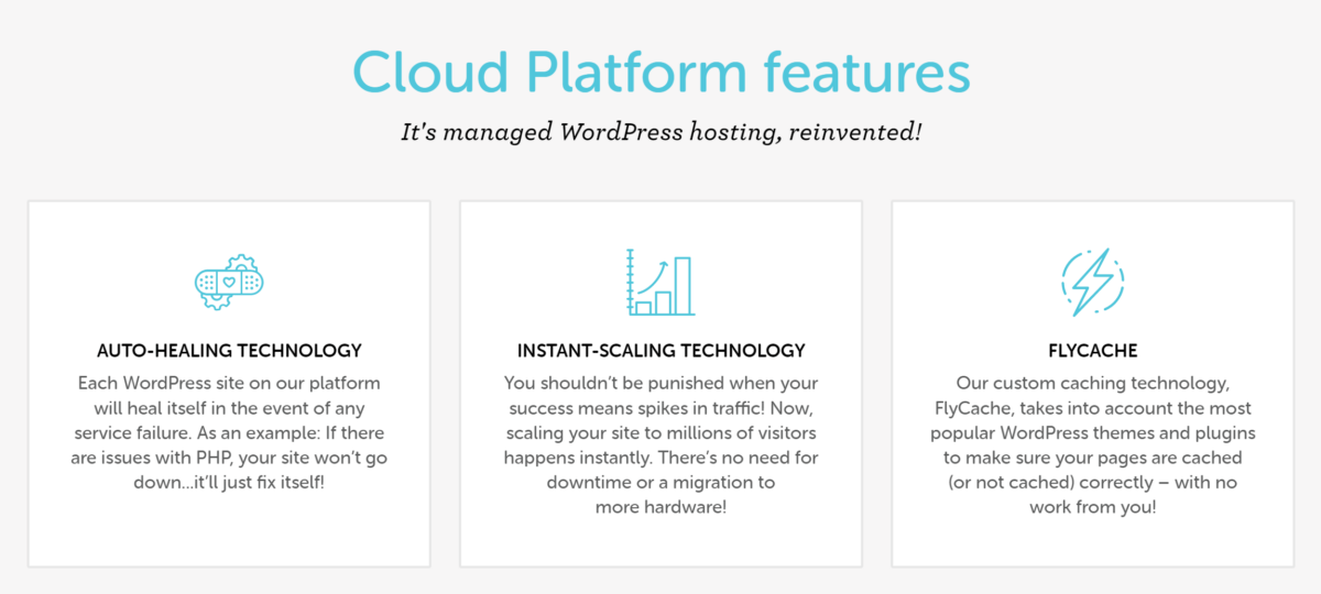 WP Engine, Flywheel, or Kinsta Best WordPress Host (2023)?